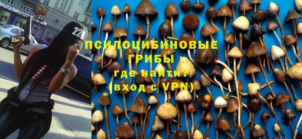 сатива Баксан