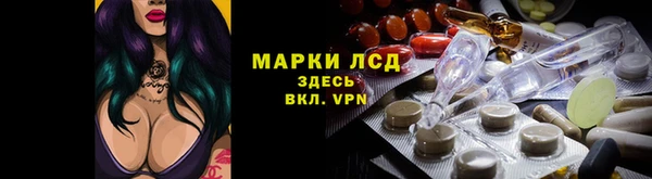 сатива Баксан