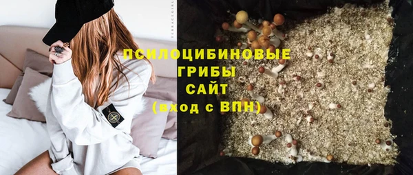 сатива Баксан
