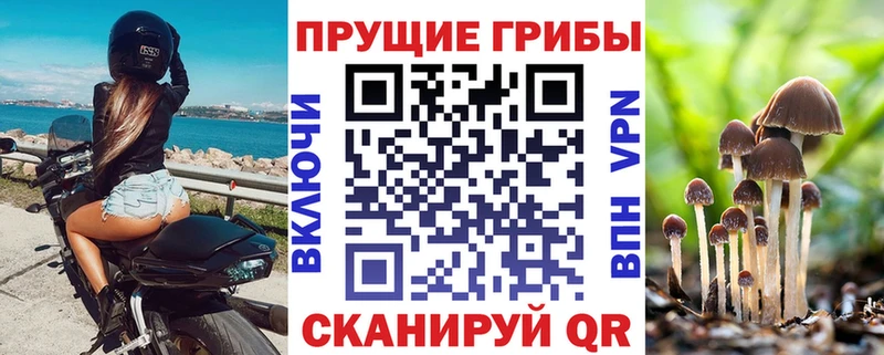 Галлюциногенные грибы Psilocybe  МЕГА ONION  Волчанск 